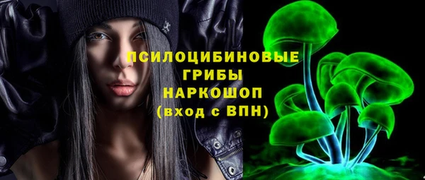 крисы Алексин