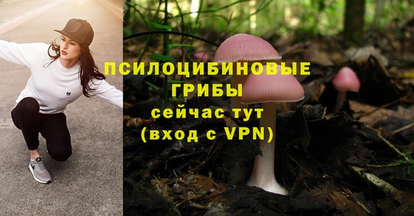 крисы Алексин