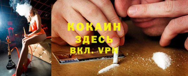 крисы Алексин