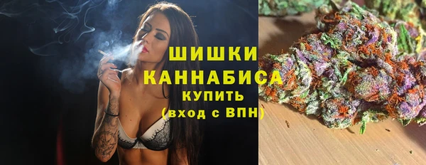 ГАЛЛЮЦИНОГЕННЫЕ ГРИБЫ Алзамай